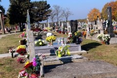 img_2353