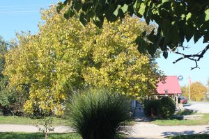 img_2122-008