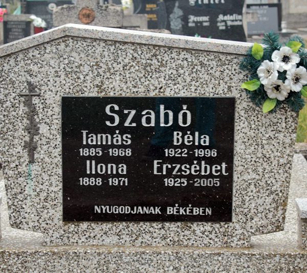 sz-img_1807
