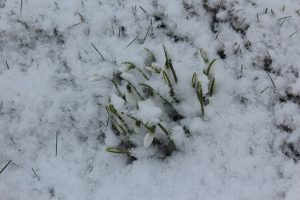 img_3297 img_3297