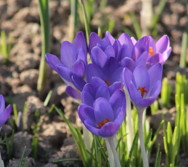 img_3608 img_3608